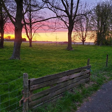 Vakantiehuis Aan Het Bos - Gelegen Aan De Tulpenroute Bant Exteriér fotografie