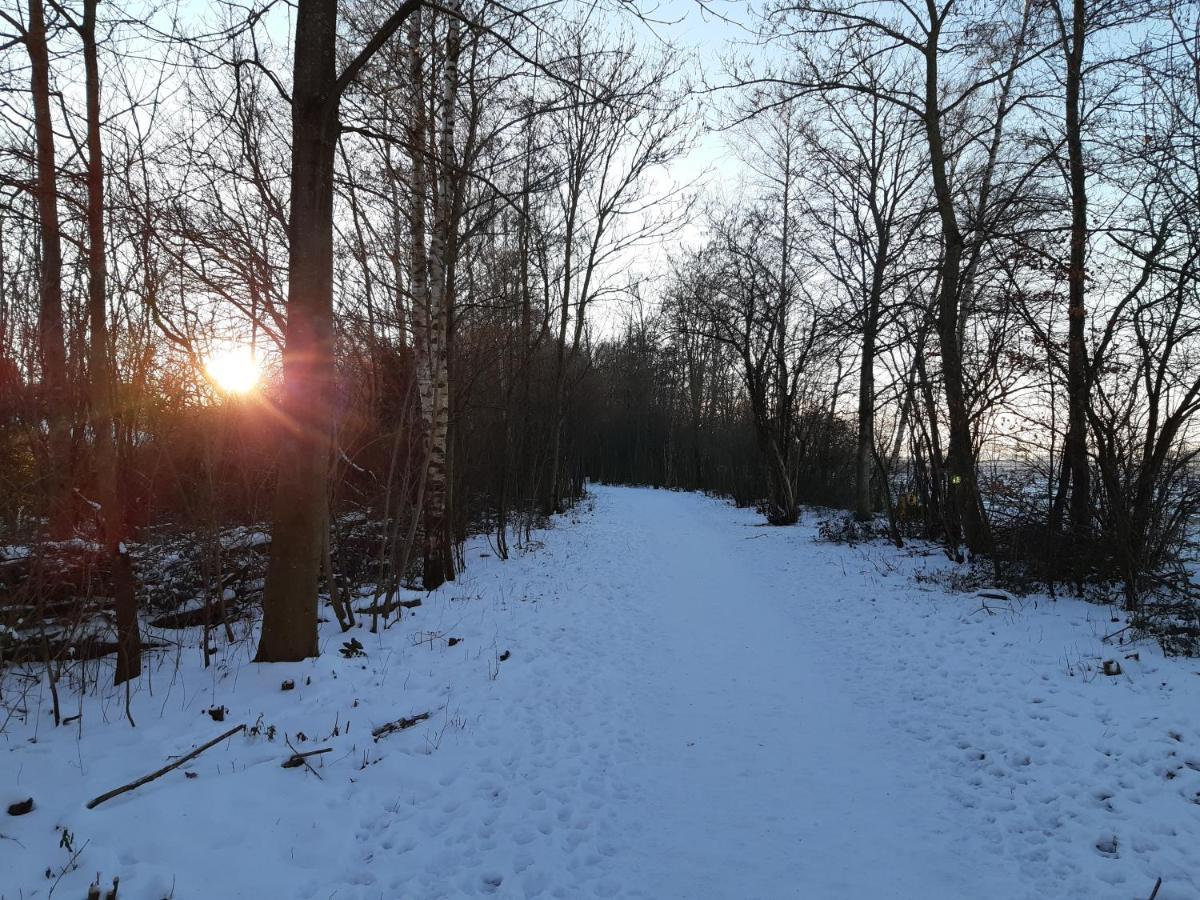 Vakantiehuis Aan Het Bos - Gelegen Aan De Tulpenroute Bant Exteriér fotografie