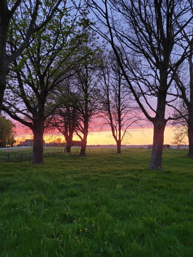 Vakantiehuis Aan Het Bos - Gelegen Aan De Tulpenroute Bant Exteriér fotografie