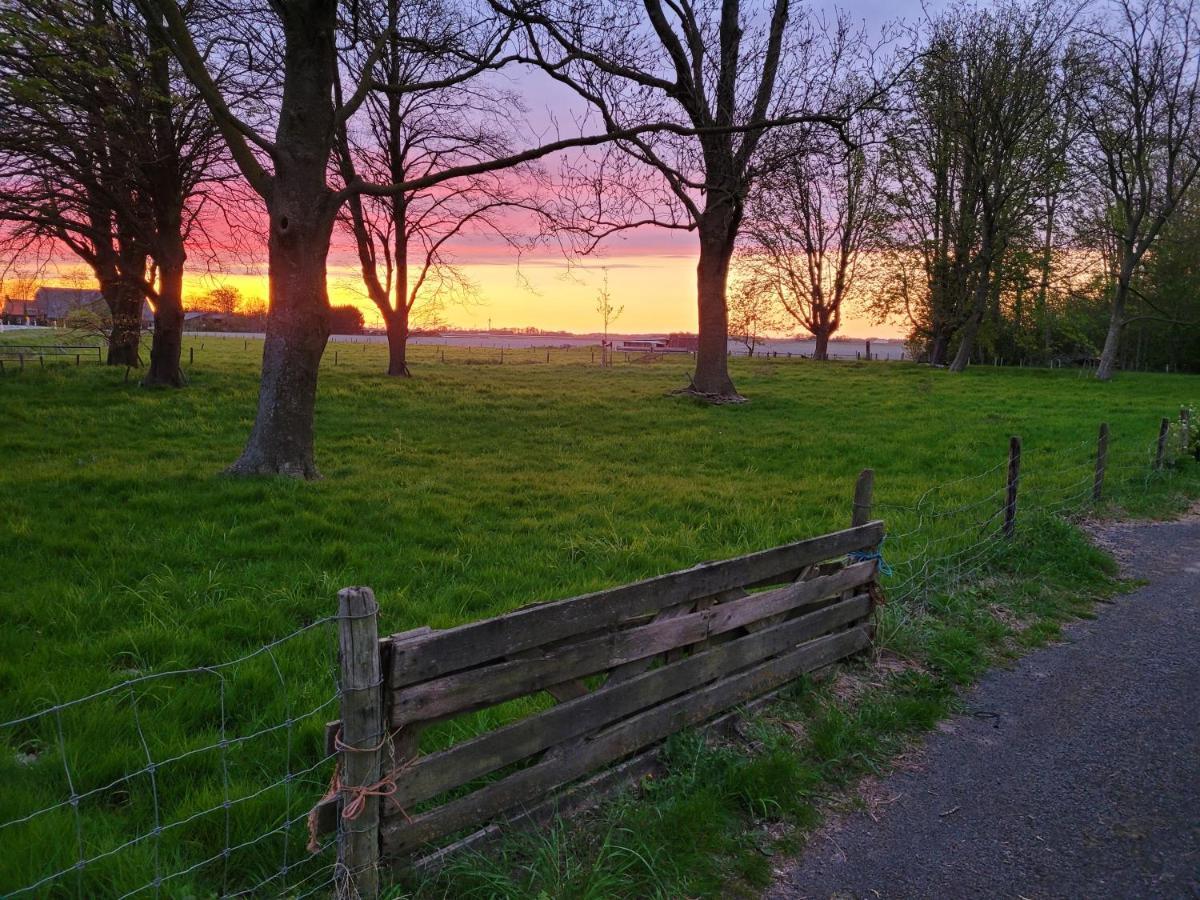 Vakantiehuis Aan Het Bos - Gelegen Aan De Tulpenroute Bant Exteriér fotografie