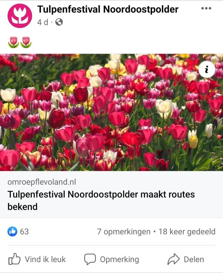 Vakantiehuis Aan Het Bos - Gelegen Aan De Tulpenroute Bant Exteriér fotografie
